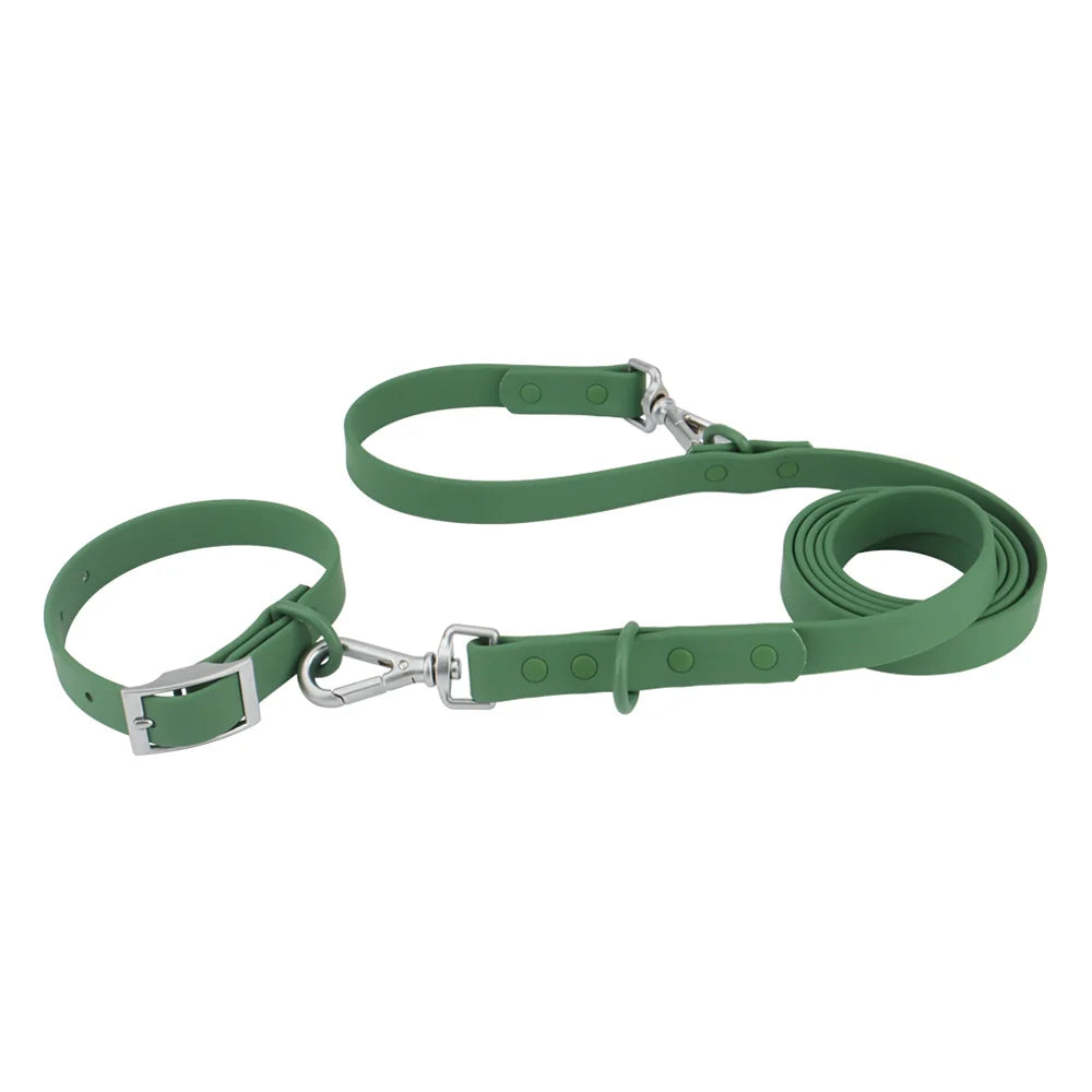 Collar and Leash