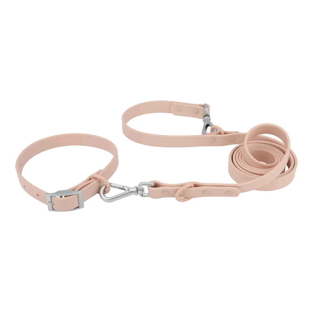Collar and Leash