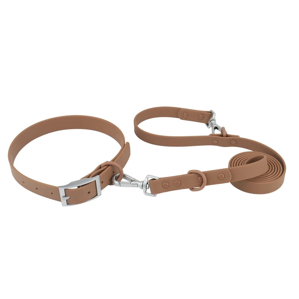 Collar and Leash