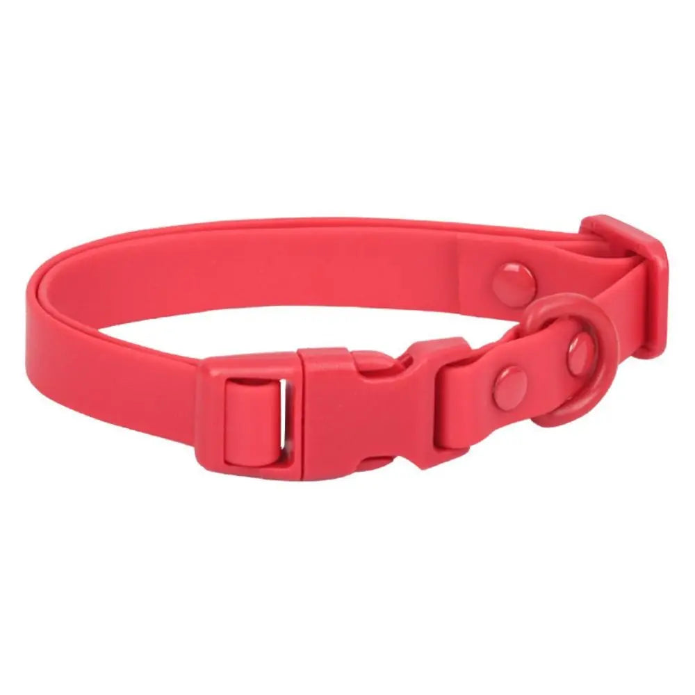 Dog Collar
