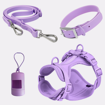 Lilac Harness Walk Set