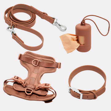 Brown Harness Walk Set