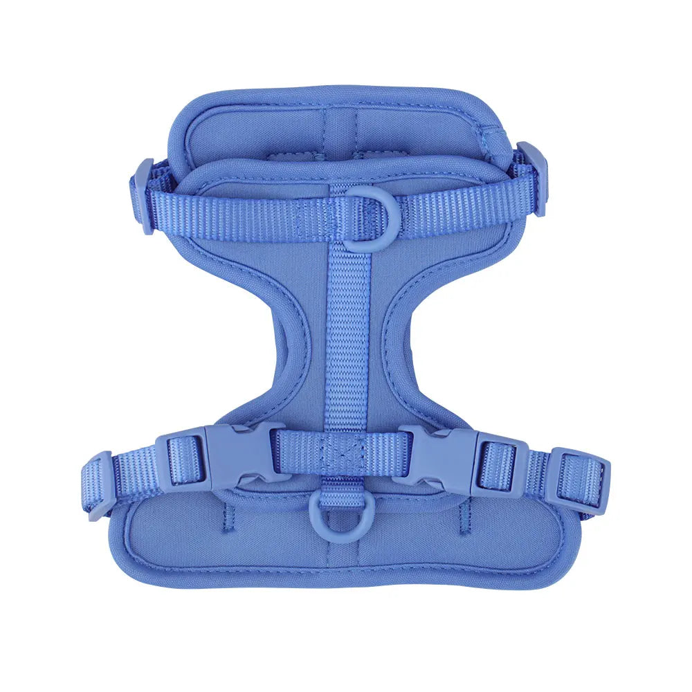 Dog Harness - Blue