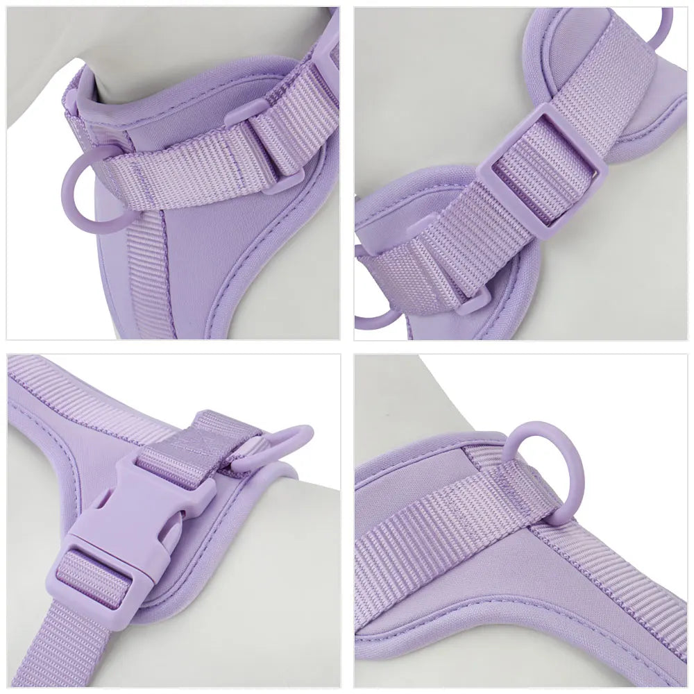 Dog Harness - Lilac