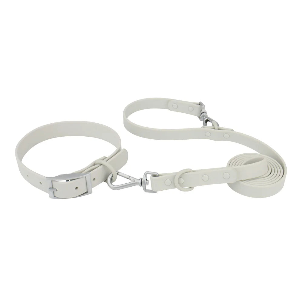 Collar and Leash