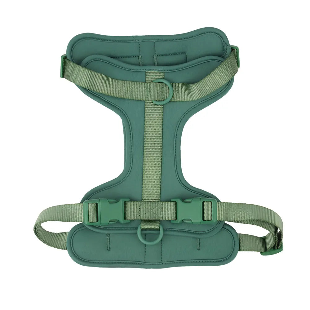 Dog Harness - Green