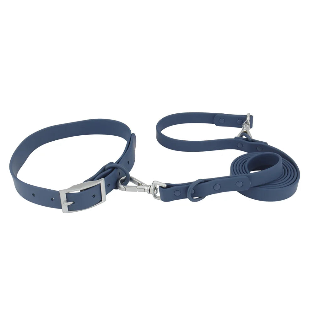 Collar and Leash