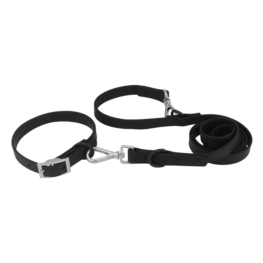 Collar and Leash