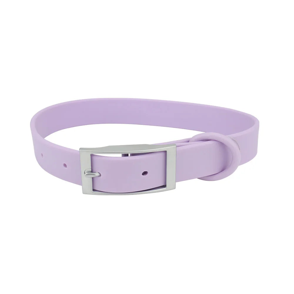 Dog Collar