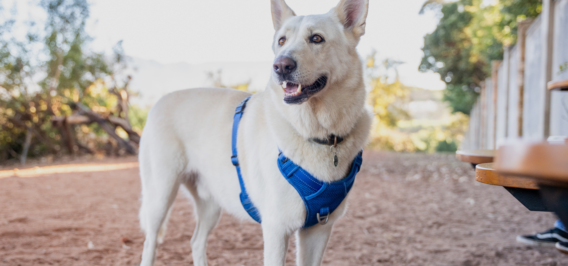 slider image 1621243260e1af0c20-0